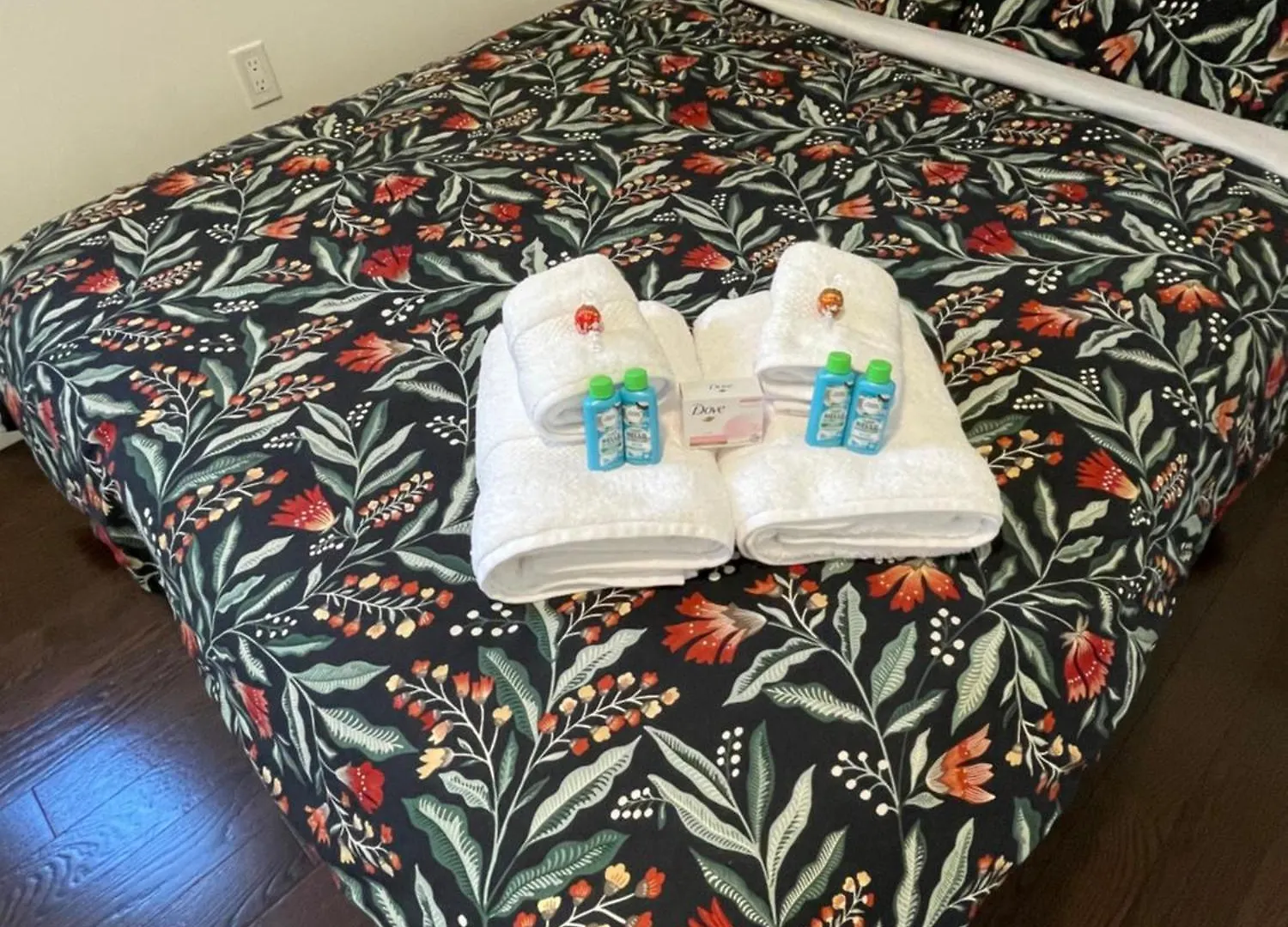 Homestay Toronto Great Located Apartment